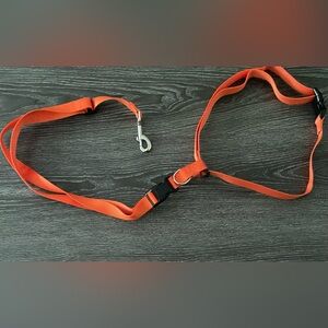 Orange Hands free Dog 6’ Leash and adjustable walker’s belt